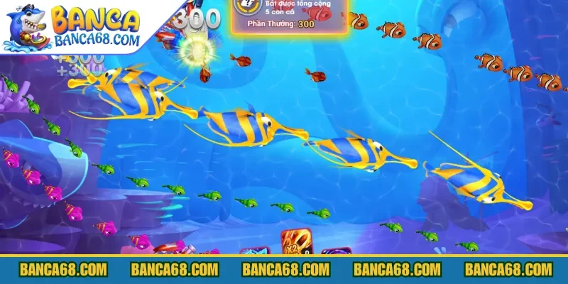 Tập trung bắn cá City theo mục tiêu và đạn hiện có